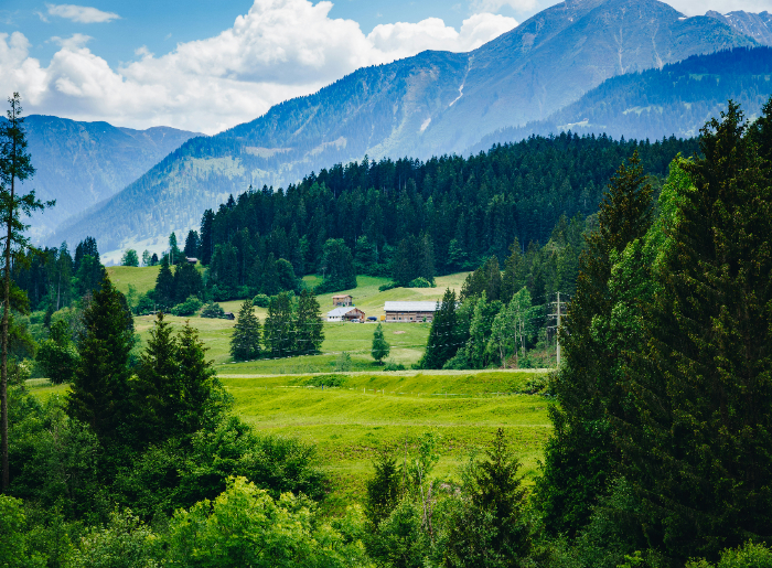 Scenes from Himachal Pradesh