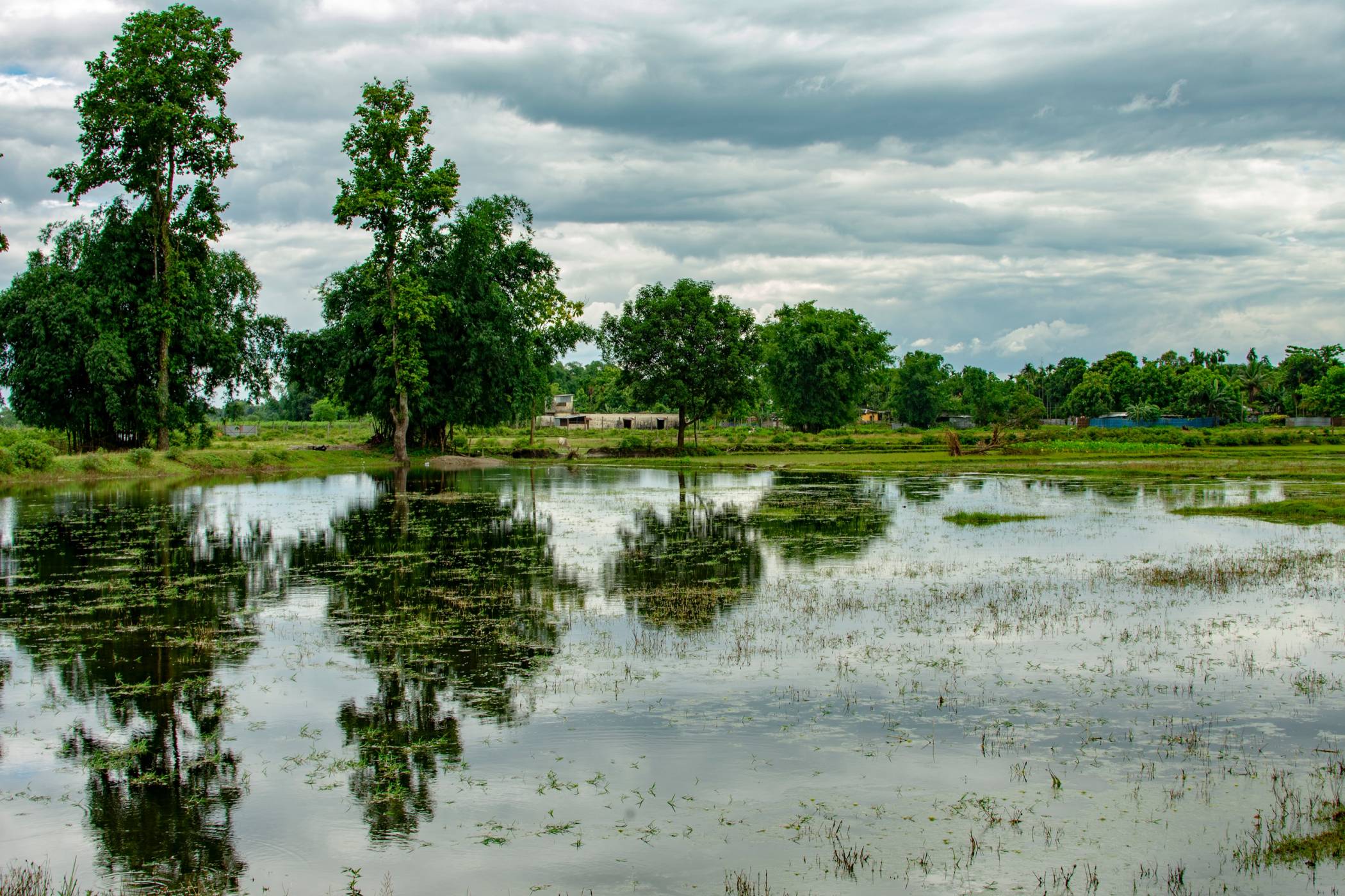 Beautiful scenery when traveling to Siliguri