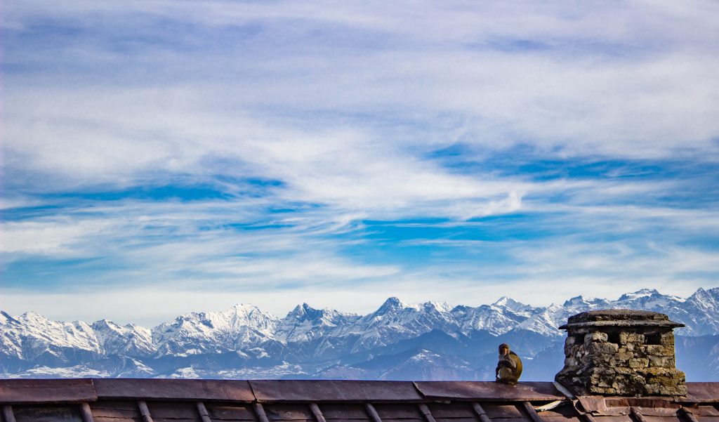 Best Hostels In Dalhousie