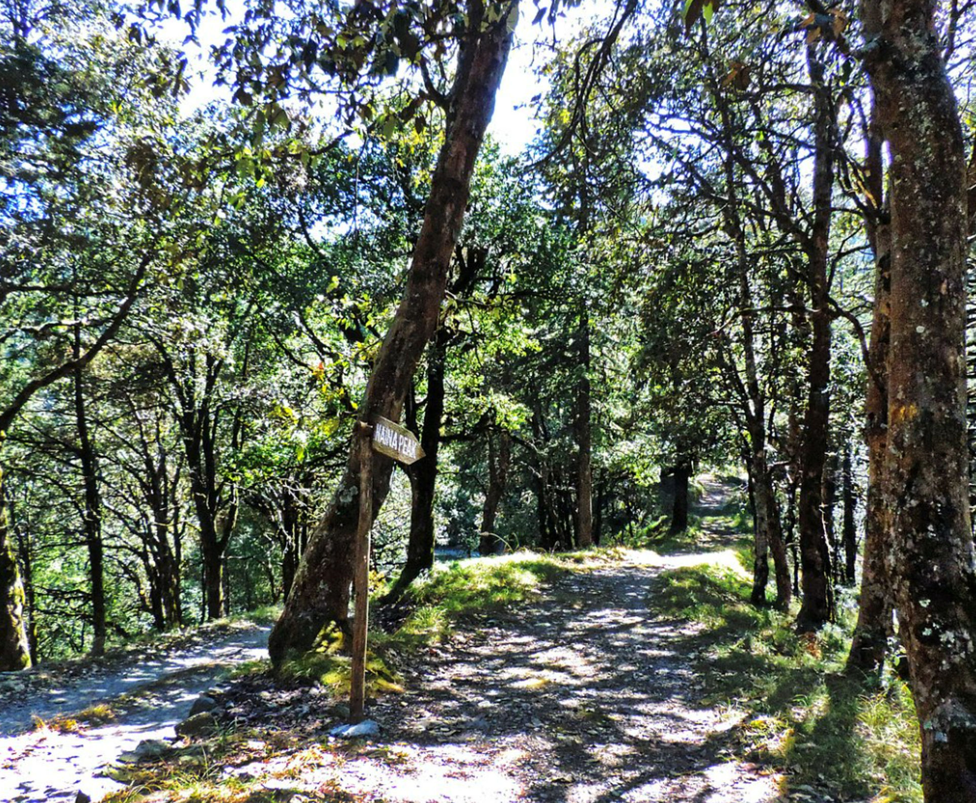 Photo Credits: Tripadvisor