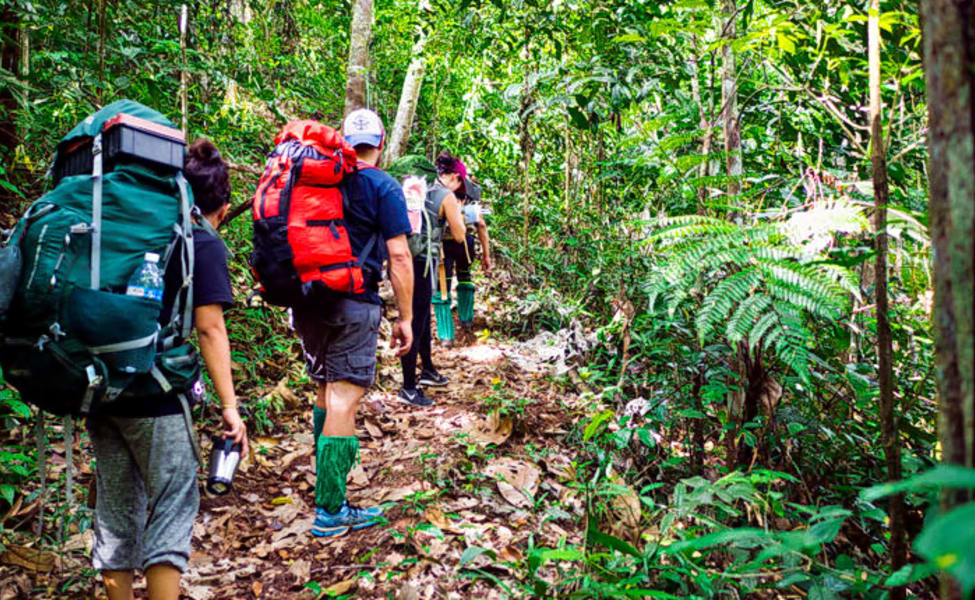 Image Credits: Wandering Jane