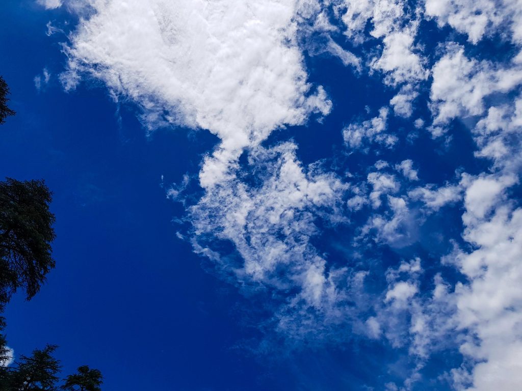 Manali 1 Day Walking Tour