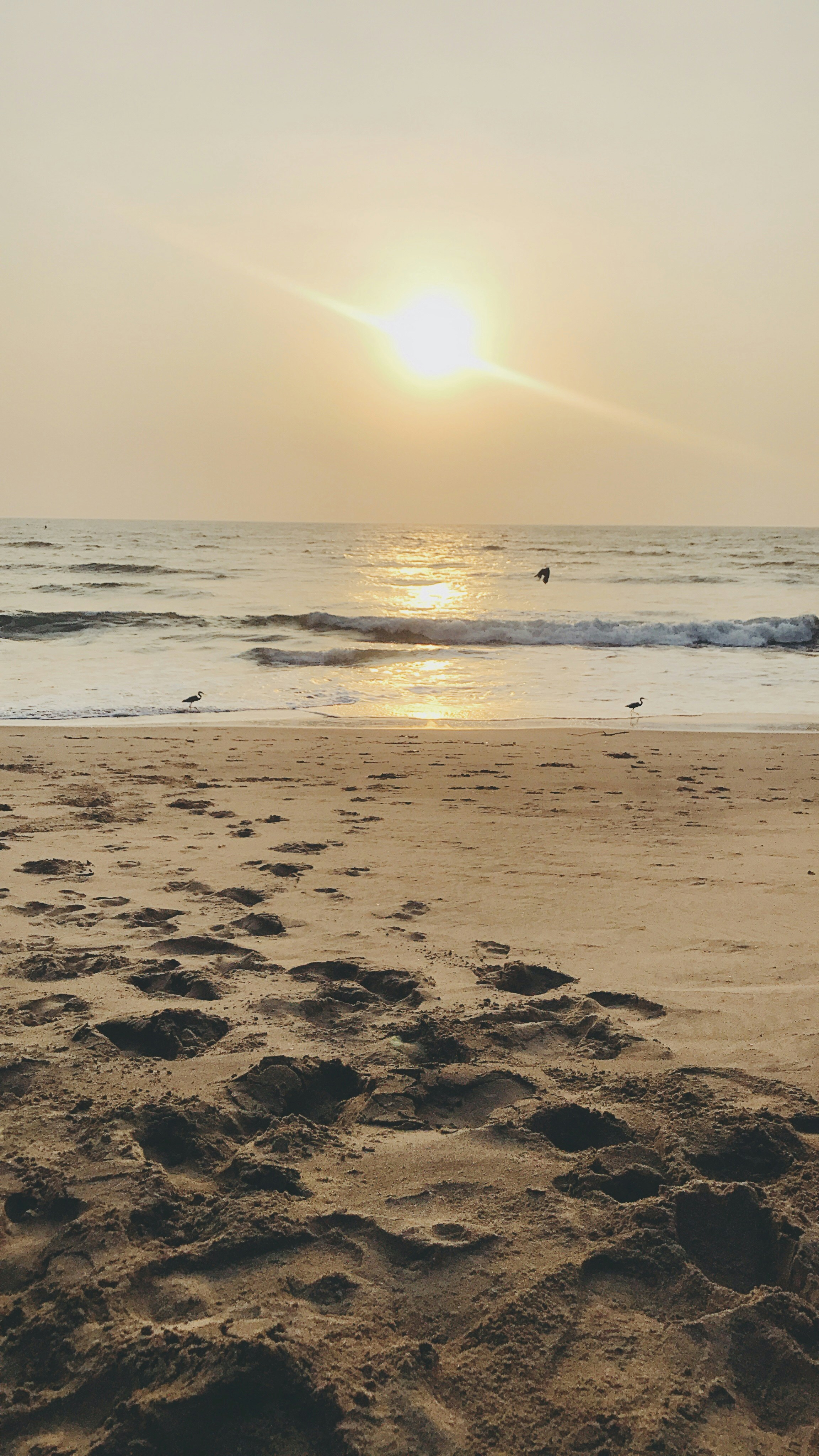 Best Beaches In Ratnagiri