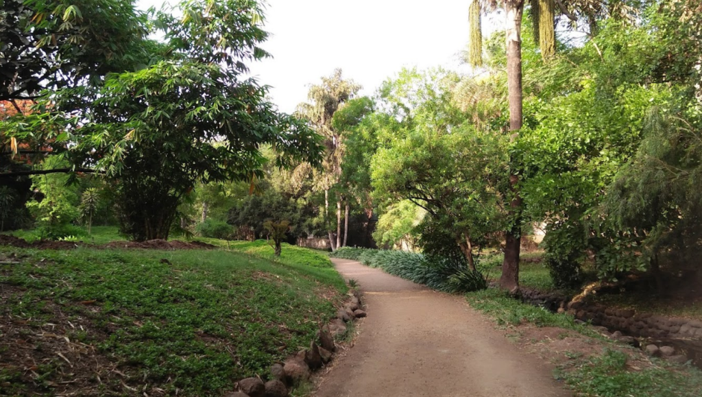 Photo Credits: Google Photos