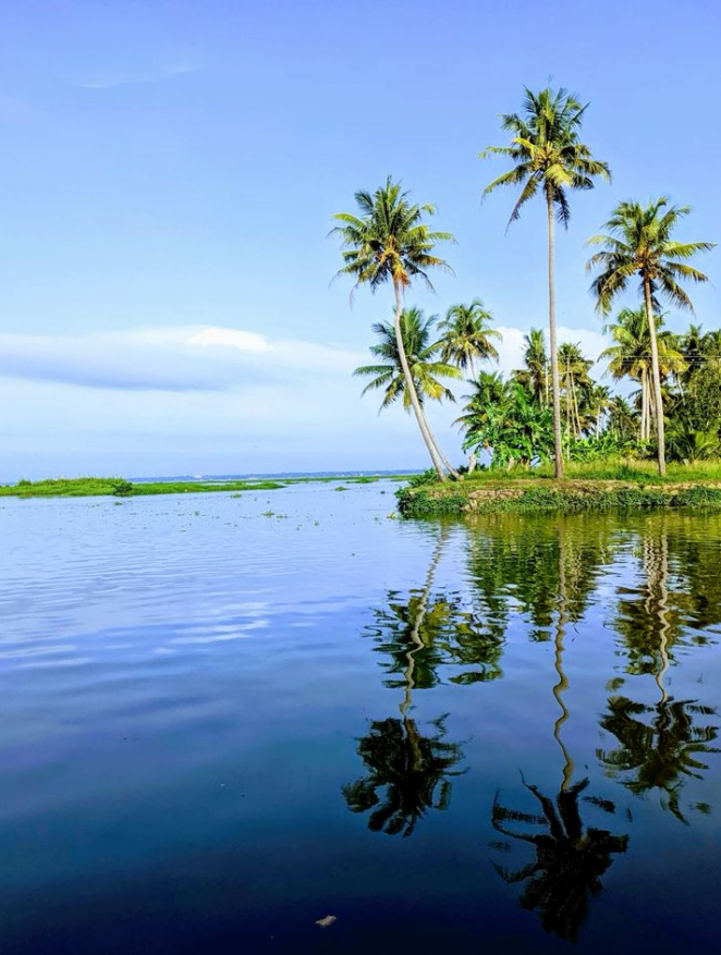 Photo Credits: Pinterest