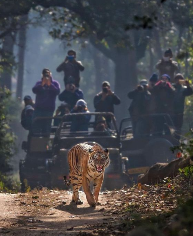 Photo Credits: Pinterest