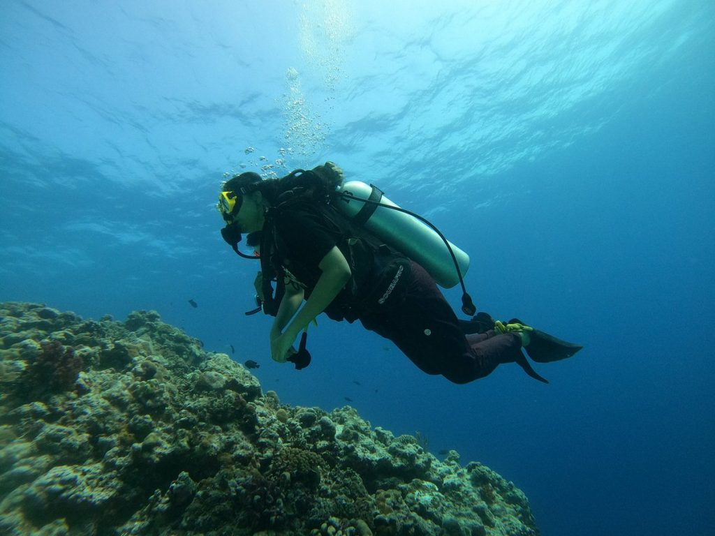 Photo Credits: Tripadvisor