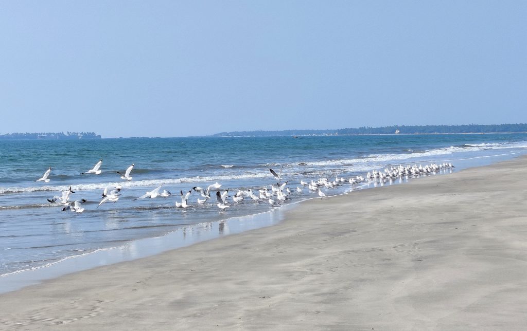 India Bucket List Ideas: Experiences To Try At Least Once