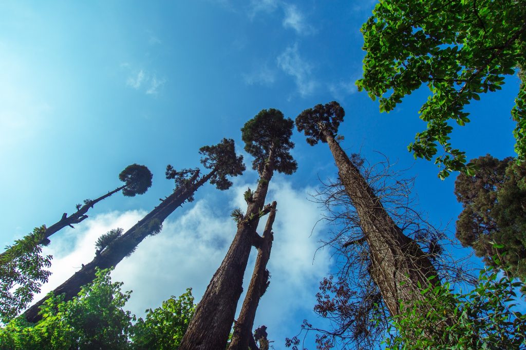 Sikkim Opens Doklam and Cho La to Tourists