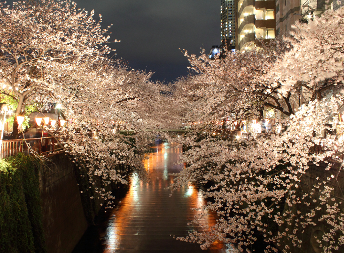 Meguro River