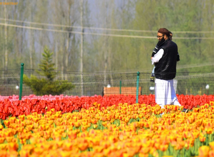 Indira Gandhi Memorial Tulip Garden