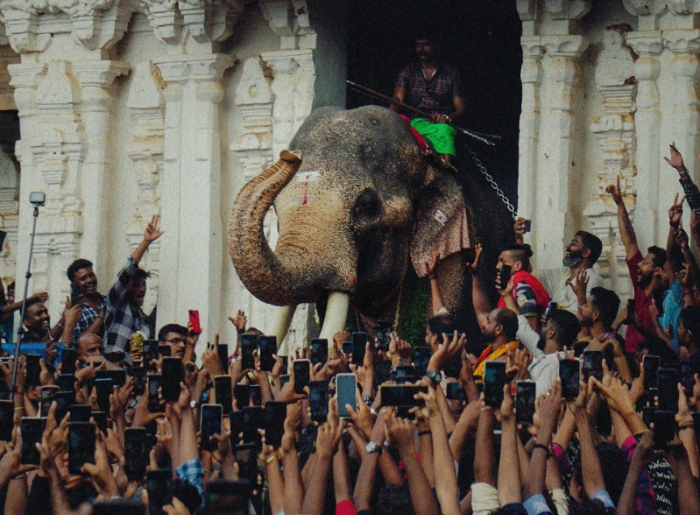Thrissur Pooram Festival