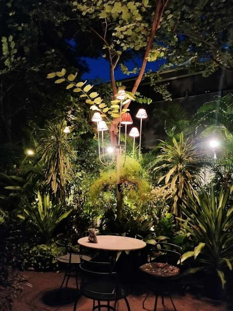 wild garden cafe amethyst