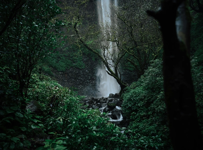 Kune Waterfall image
