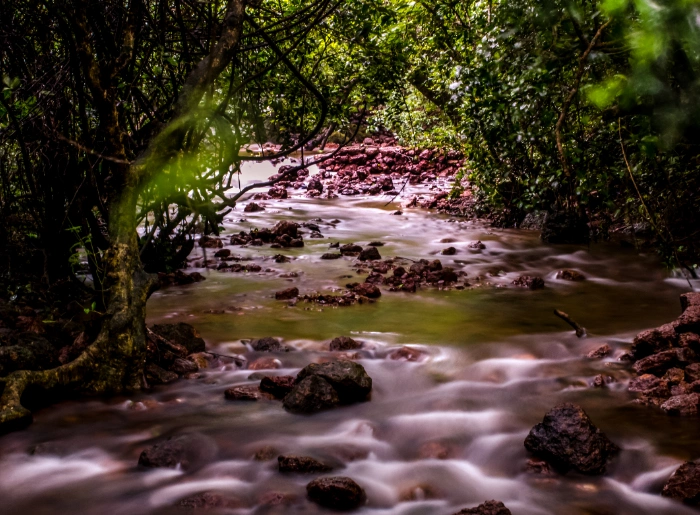 Stream near Lingmala Waterfalls