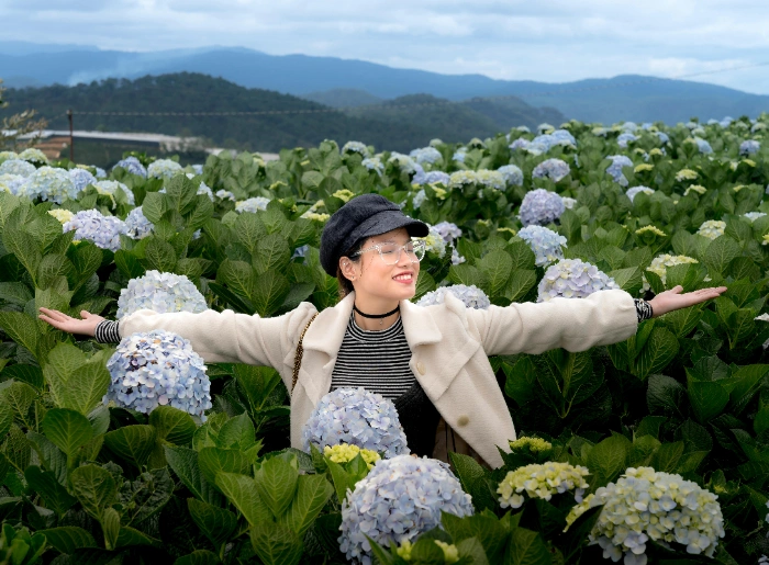 Woman in a hydrangea field