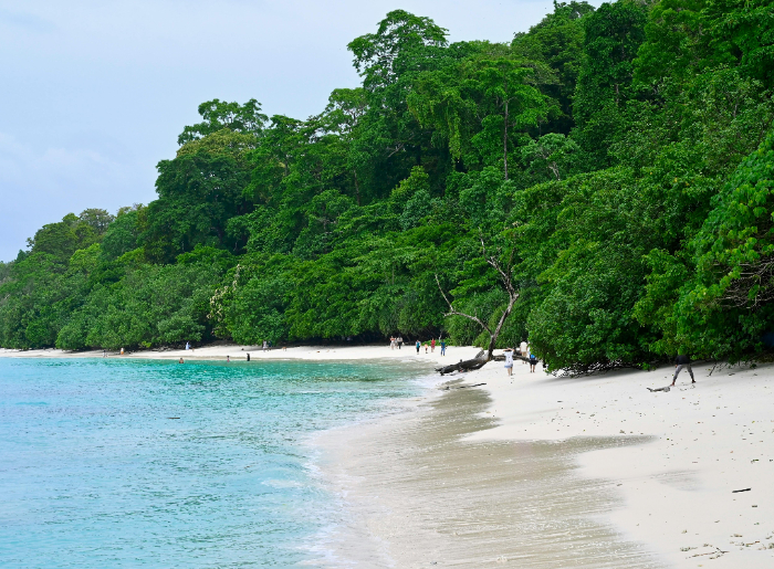 Havelock Island