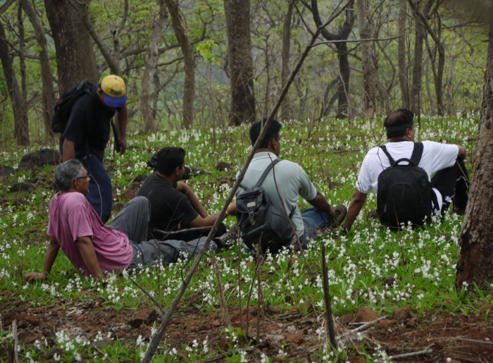 Hikers resting in Yeoor Hills