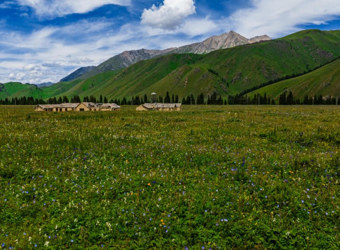 Turtuk village image