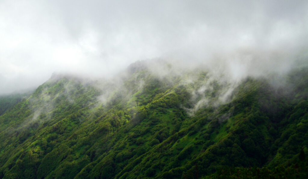 Things To Do In And Around Roing