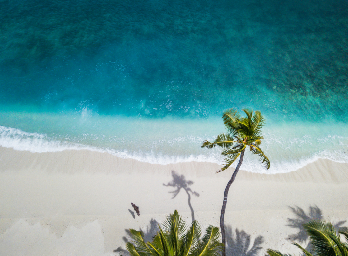 Nude Beach In Goa image