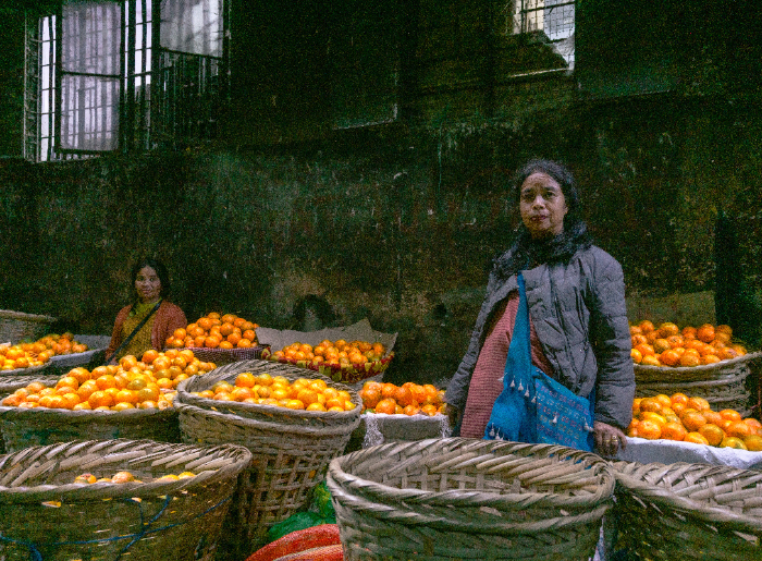 Pickers of Khasi Mandarin