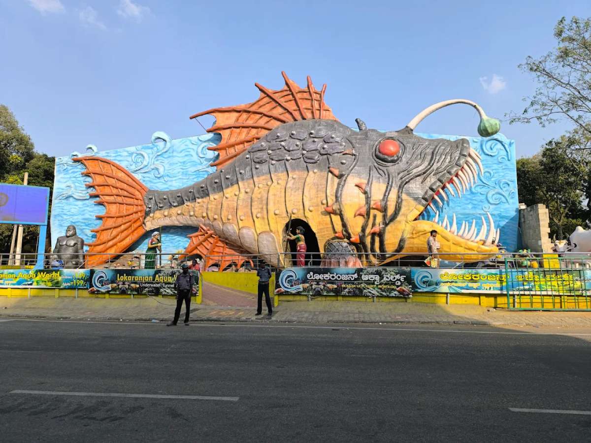 fish aquarium in mysore