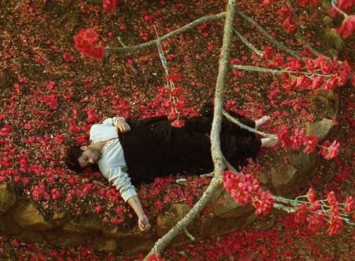 Shah Rukh Khan Film Festival