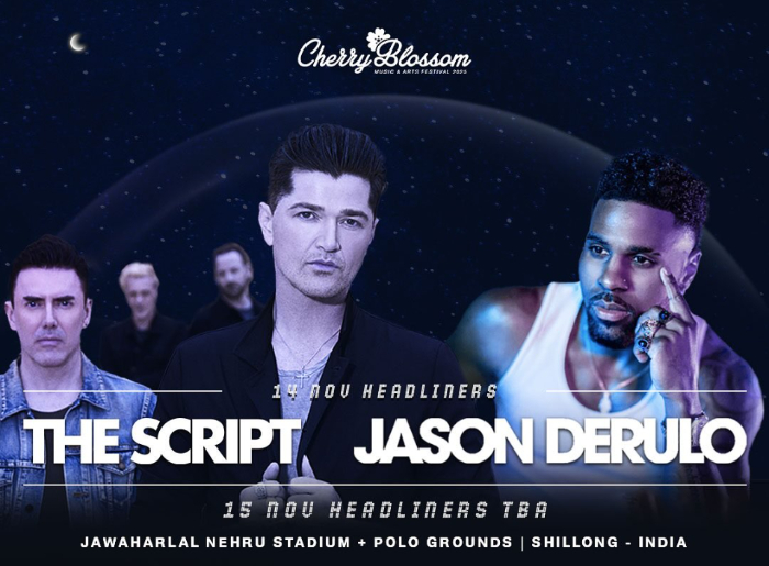 Top Concerts in India This November 2025_ Unmissable Music Events Across The Country