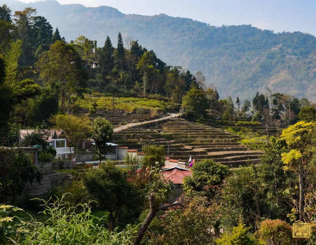 Chota Mangwa Travel Guide