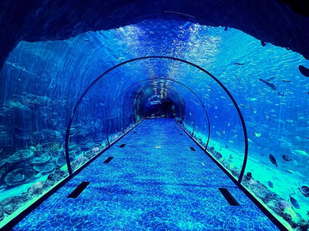 Abu Dhabi National Aquarium