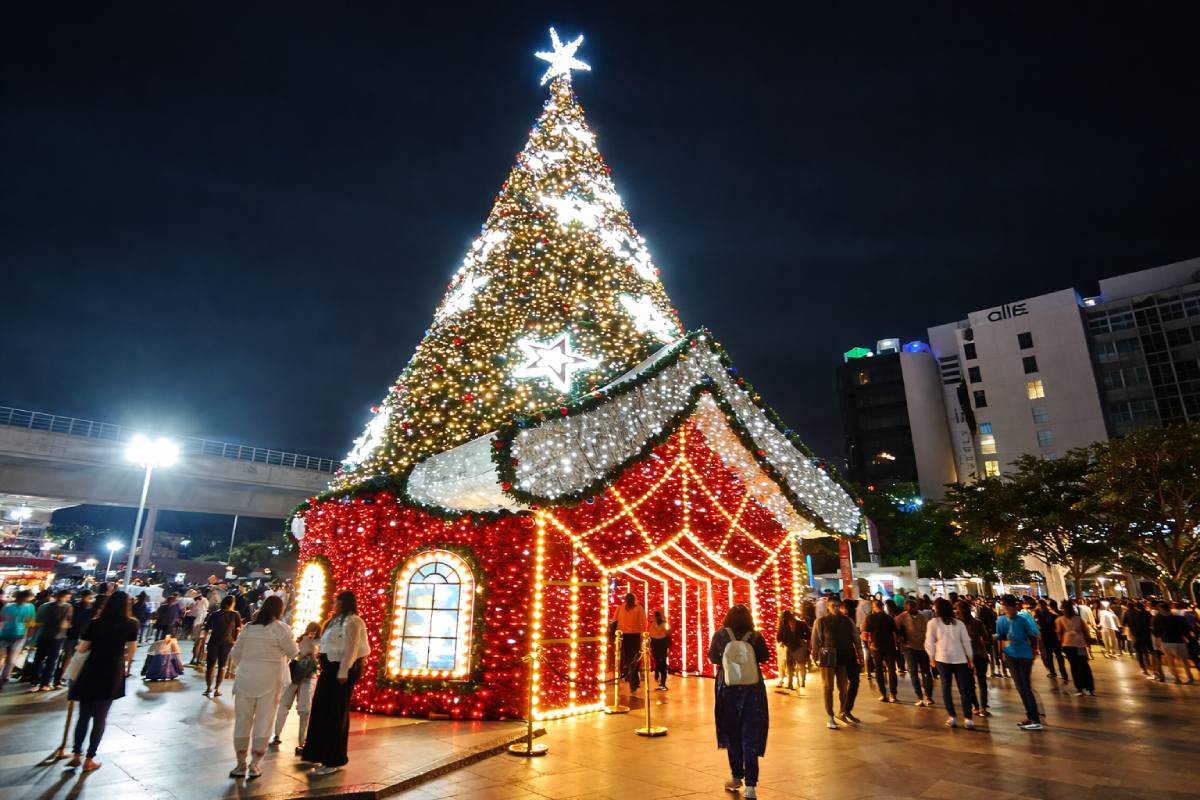 Celebrate Christmas in Pondicherry 2025