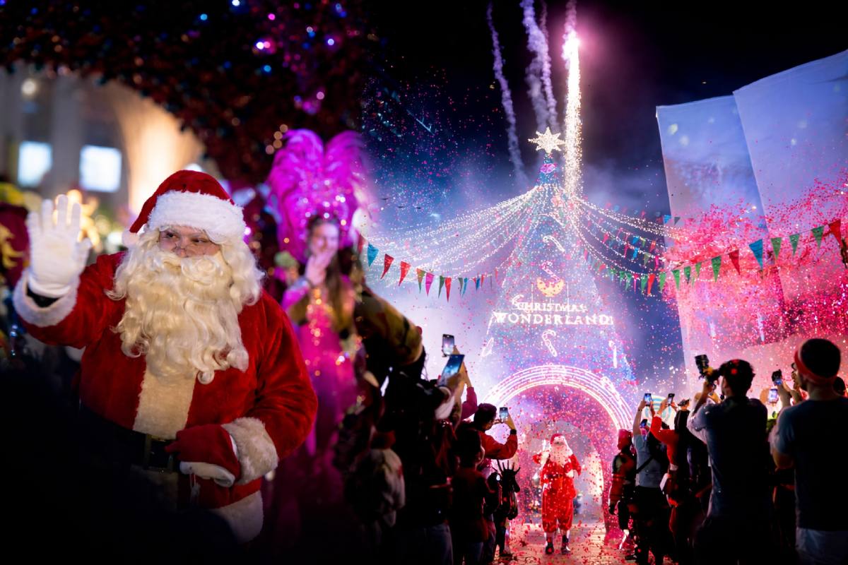 Phoenix Christmas Wonderland 2.0