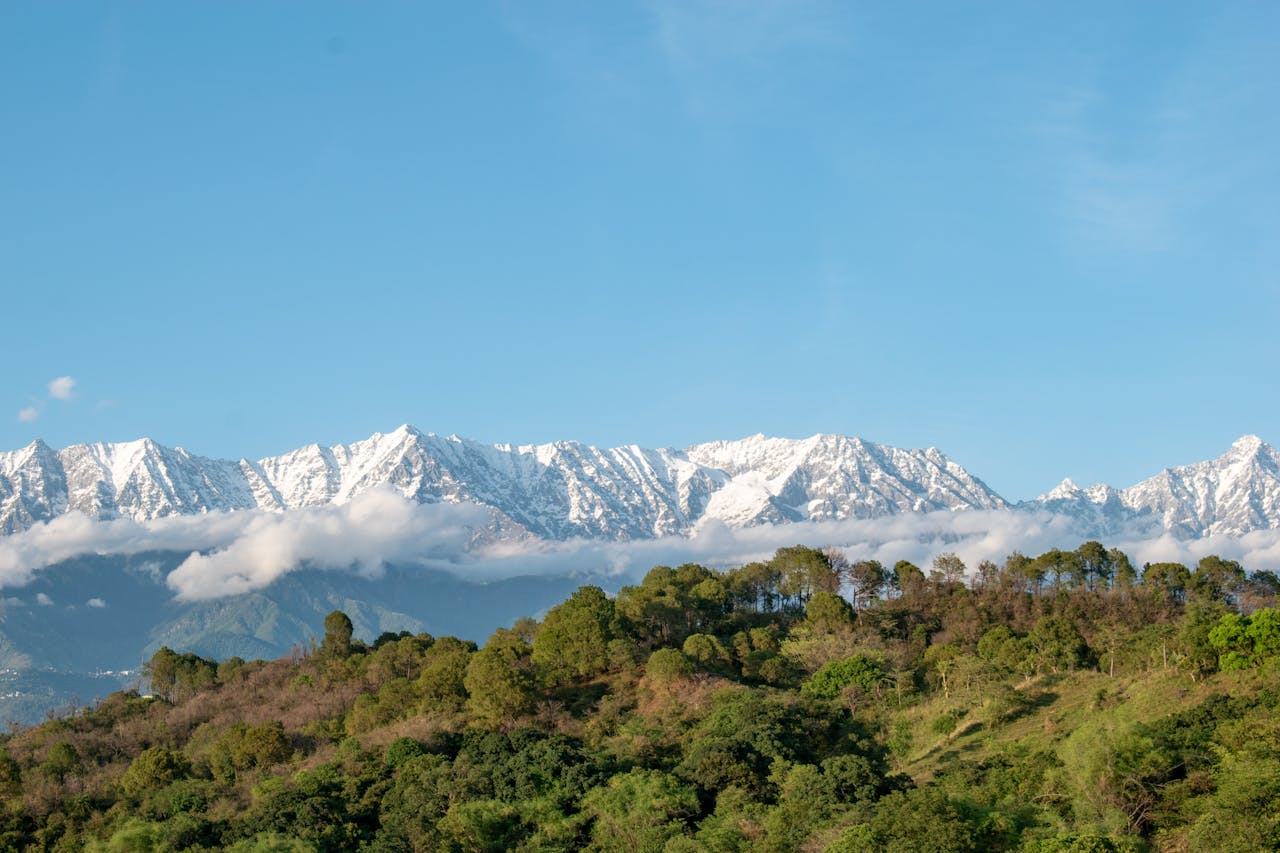 Budget Stays In Dharamshala