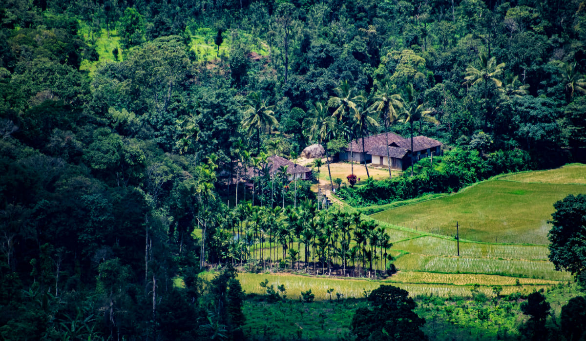 Fun Things To Do In Coorg