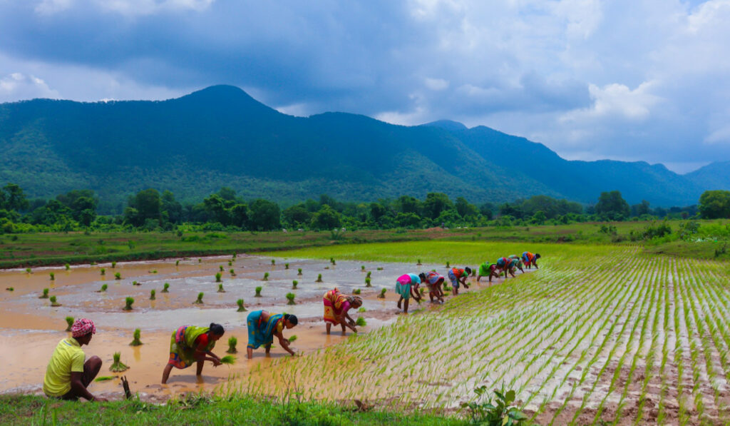 Things to do in odisha