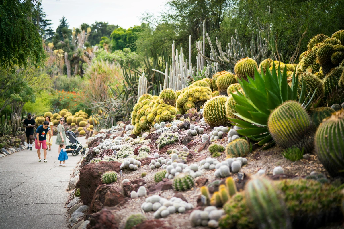 Cactus Park in Al Jaddaf Dubai
