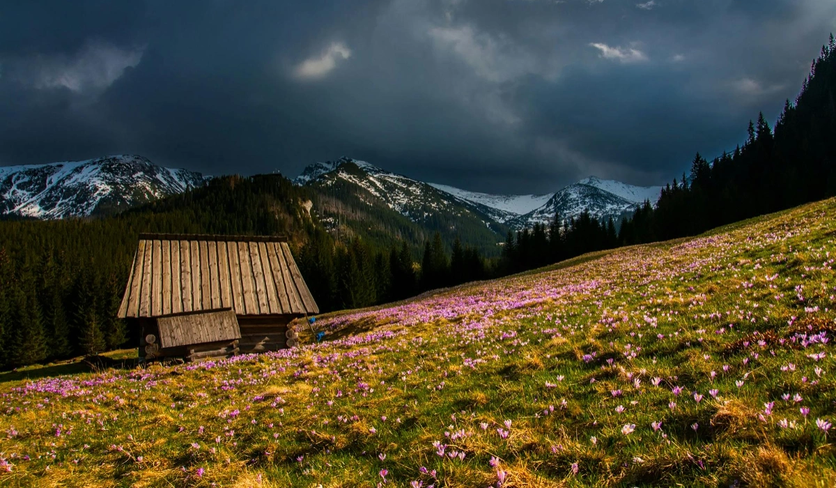 Valley of Flowers