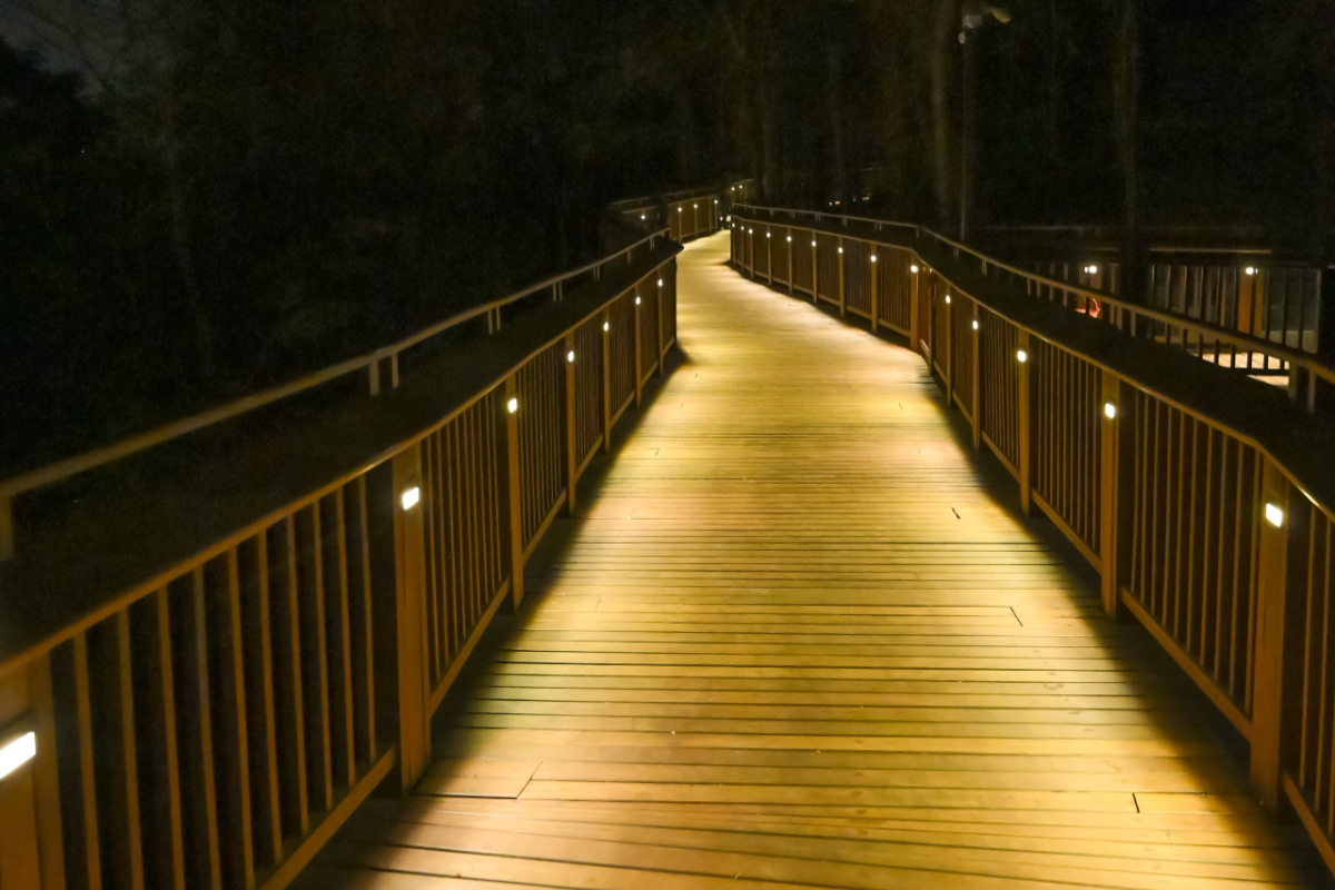 Elevated Nature Trail