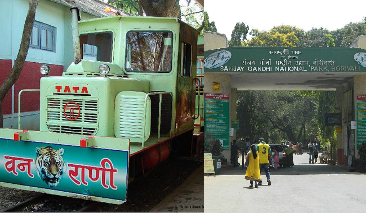 ‘Van Rani’ Toy Train