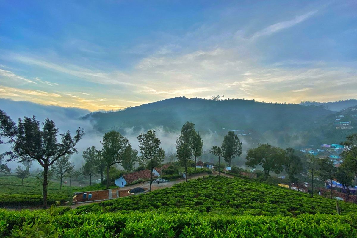 Ooty travel tips