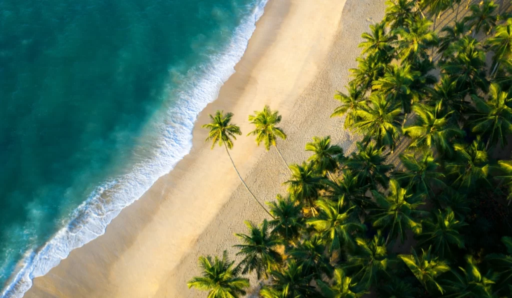 Best Time To Visit Sri Lanka