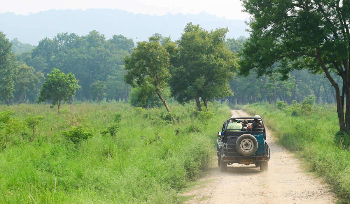 How Many Safaris To Do In Tadoba