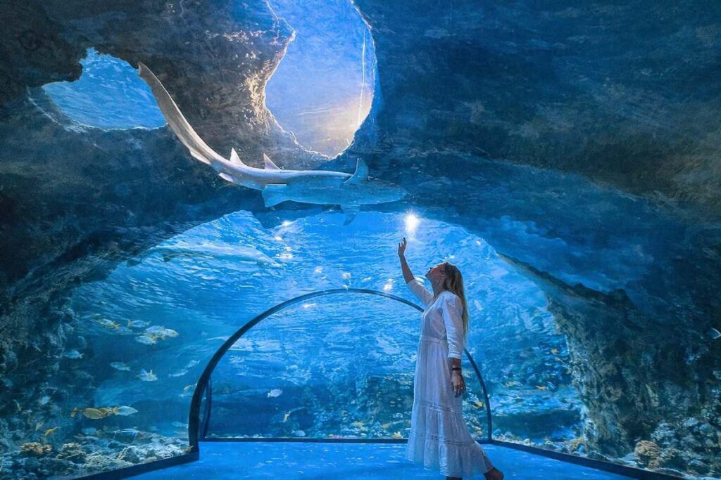 the national aquarium abu dhabi