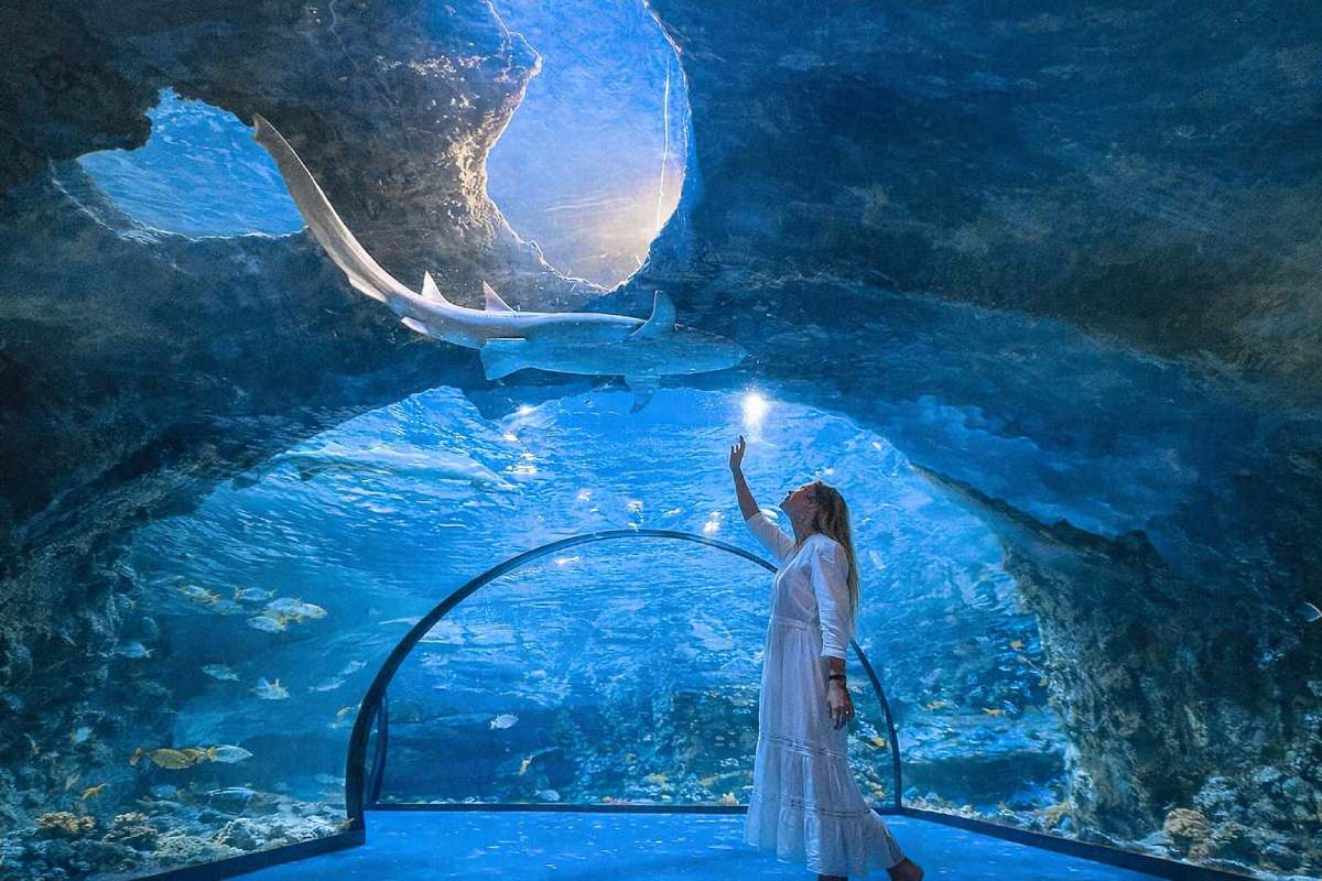 the national aquarium abu dhabi